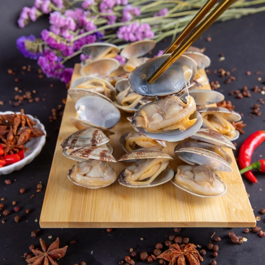 
Frozen Fresh New Boiled Short Necked Clam With Shell 