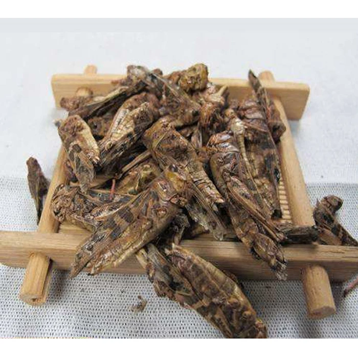 Натуральный высушенный Кузнечик для