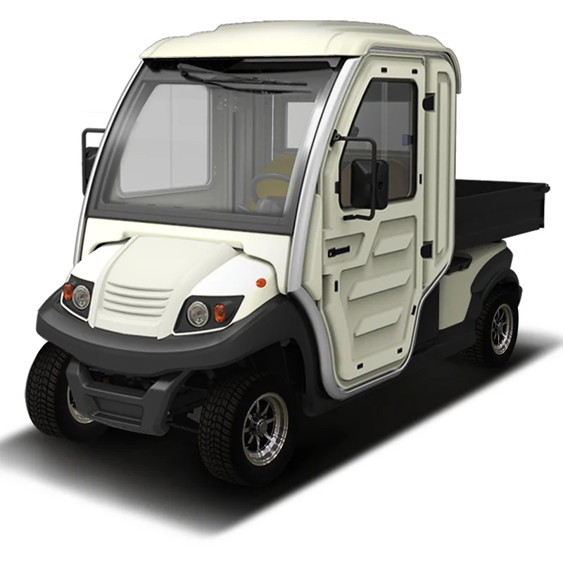 EG transport auto electrico электромобиль для взрослых 4 колеса