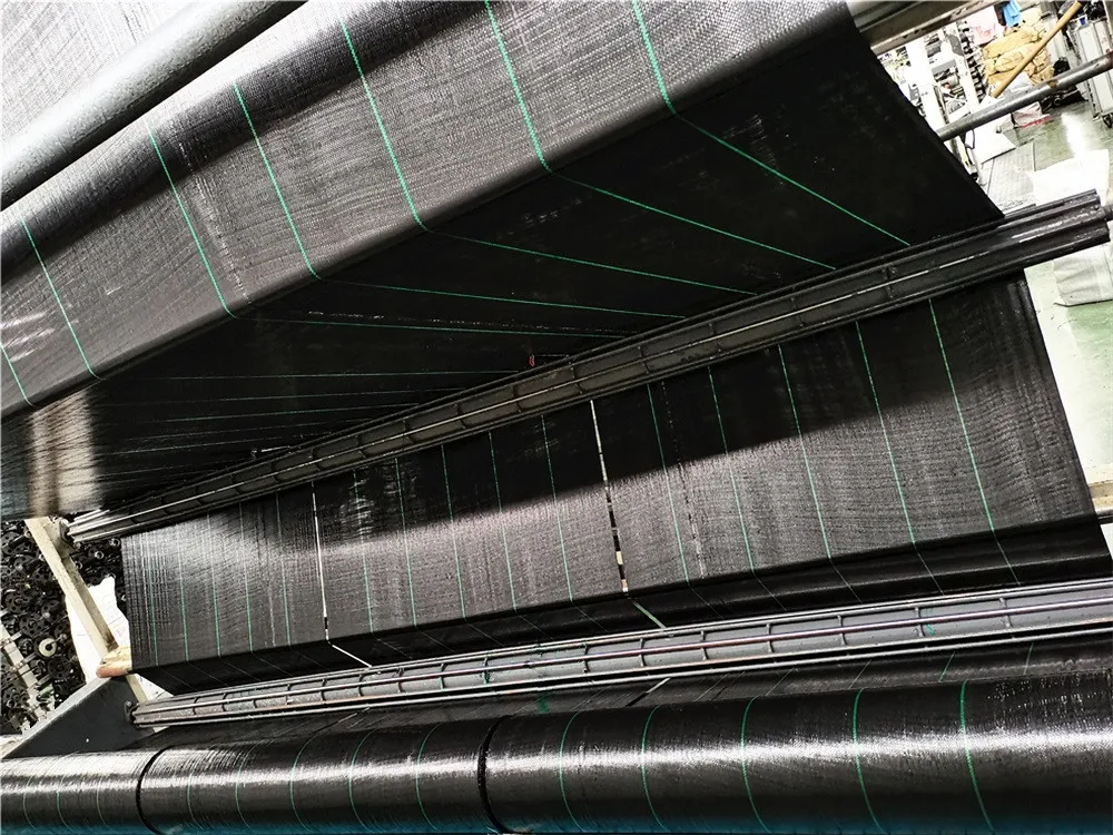 Heavy Duty 0.5m-7m PP Weed Mat from factory Weed Barrier Ground Cover Fabric Landscape Fabric