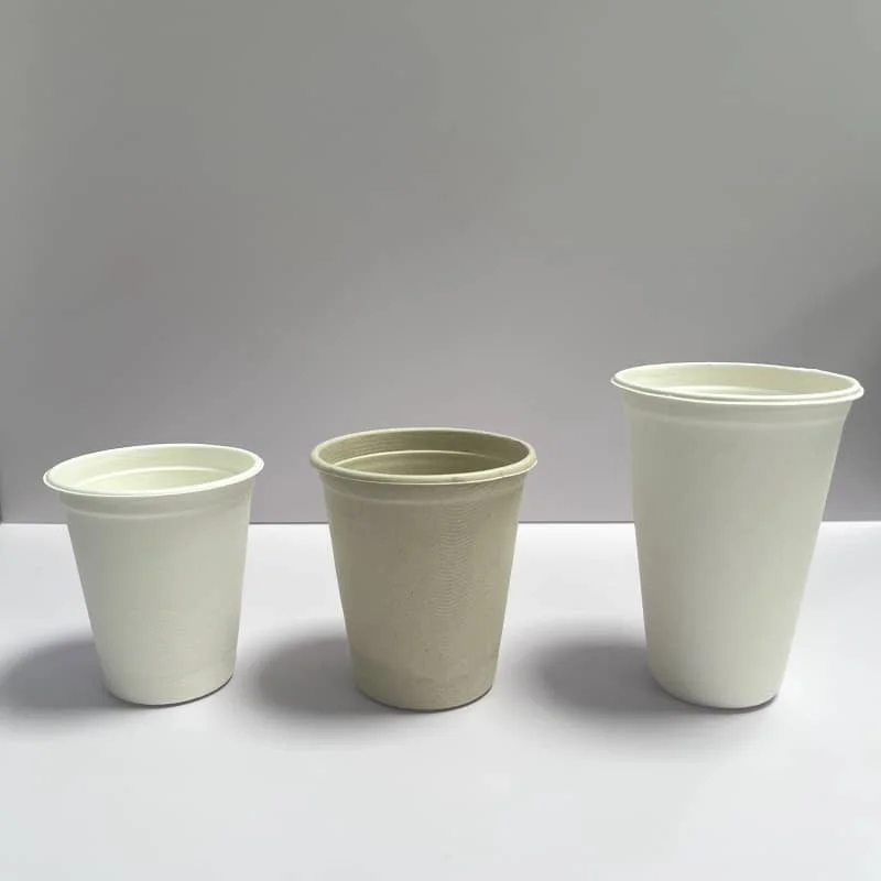 Ok Compost coffe cup Disposable Sugarcane Cup with 6OZ 8OZ 12OZ 16OZ Bagasse Pulp Biodegradable Hot Drink Cup with 80mm 90mm Lid