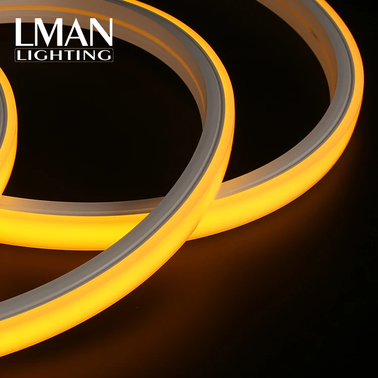 Garden Christmas Festive Decoration Ip65 20*14mm 120led/m Smd 2835 Dc 12v 24v 8w Led Neon Light