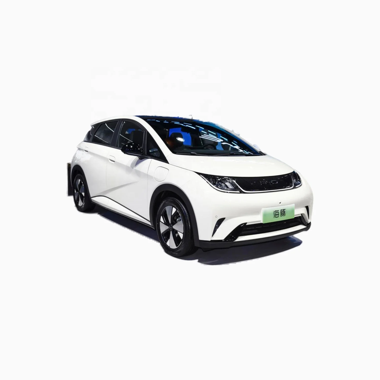 changli  new energy  adult electric car for BYD Dolphin 5 Doors 5 Seats