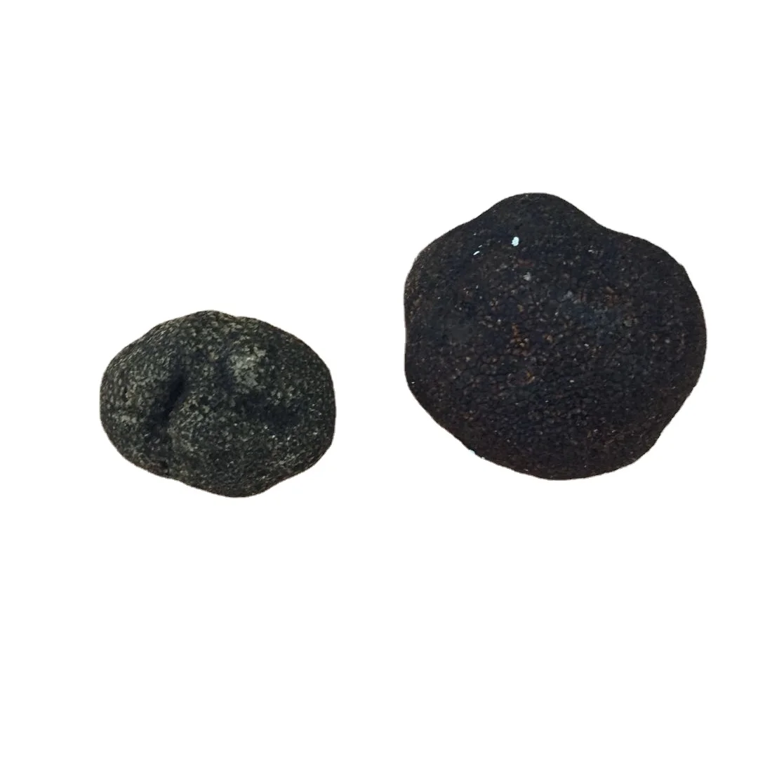 DETAN 2023-2024 New Season Premium Quality Wild Chinese Winter Fresh Black Truffles Mushroom