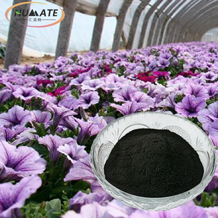 Ningxia Humate food grade soluble soil conditioner humic acid potassium humic acid powder price
