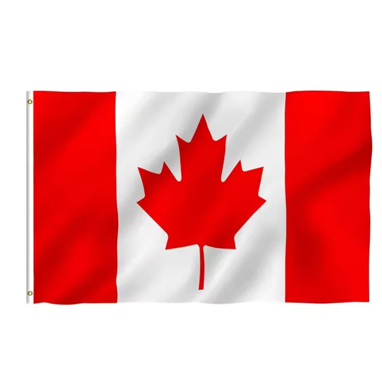 Fast Delivery 100% polyester single sided double sided custom size national company flag