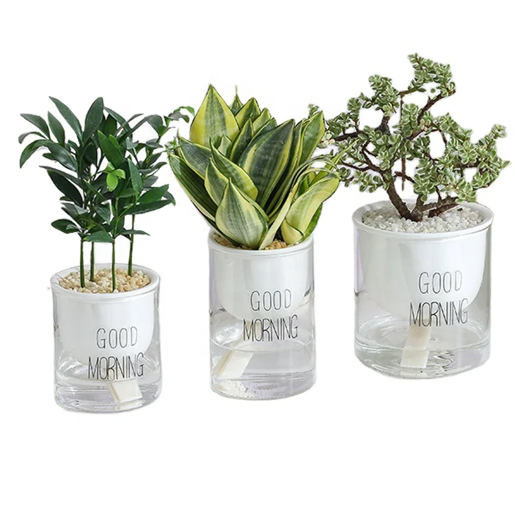 
MODERN Clear GLASS AND White CERAMIC ceramic flower pot SELF-WATERING hydroponic Planter flower Pots 