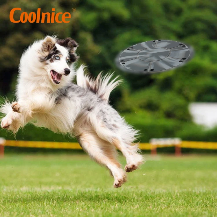  2020 Amazon Portable Foldable Collapsible Travel Pet Food Dog Bowl Silicone Training