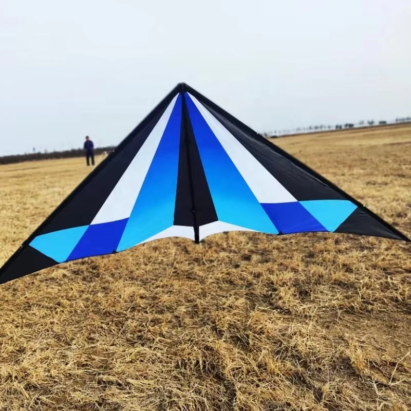 Factory Dual Line Power Kite Sale Sport Flying 2.4m Lanyork Magic Modern Deign Dual Line Stunt Kites