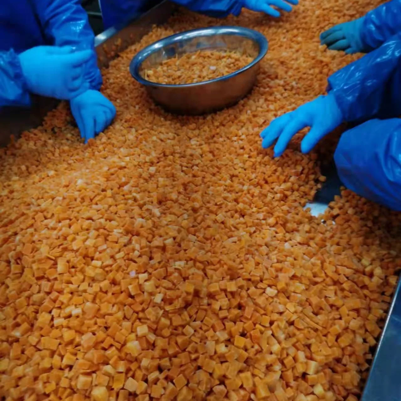 2021 New Cropped IQF ORGANIC Carrot Dice