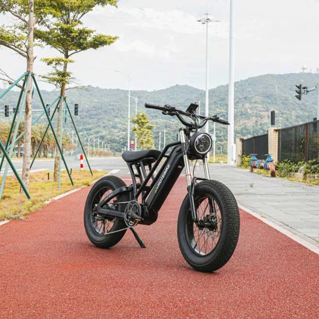 high power 48V 750W 1000w electric bike 20 inch 73 super dual  motor full suspension 7 speed electric motorcycle