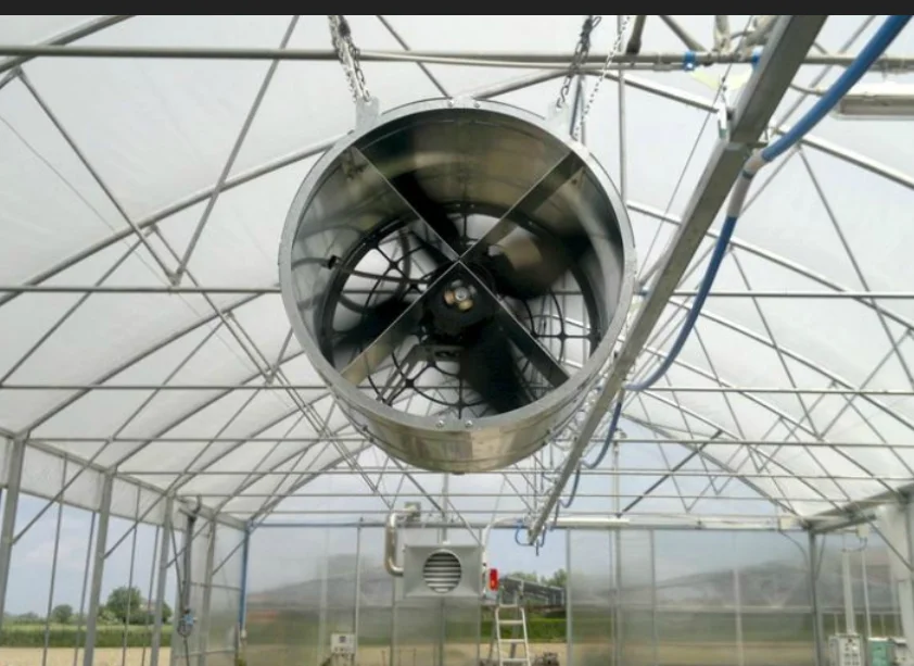 Industrial Factory Greenhouse Ventilation Exhaust Fan