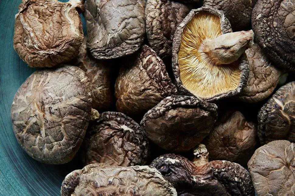 Wholesales shiitake mushroom - Dried Shiitake Mushroom/ High Quality Dried Black Forest Mushroom From Vietnam/ Shyn Tran