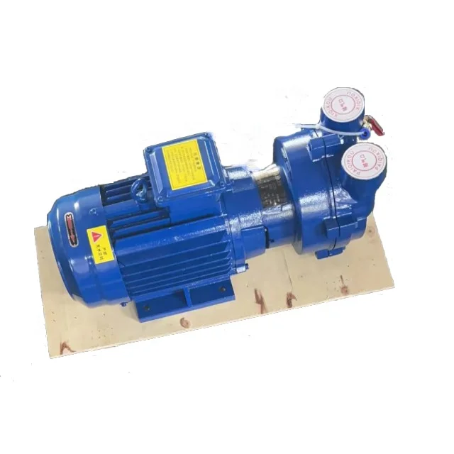 2BV2061 Water ring vacuum pump Made In China Liquid Ring Pump Factory