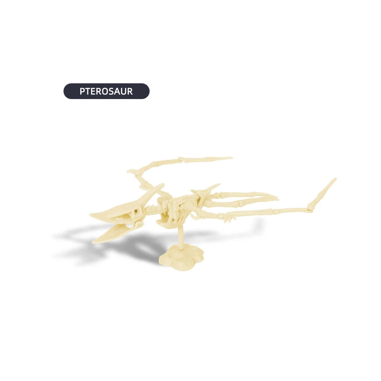 Factory Price Diy Toy Custom Dinosaur Archaeology Kit With Cpc Certificate Hot Selling Dinosaur Skeleton Dig Kit In Stock