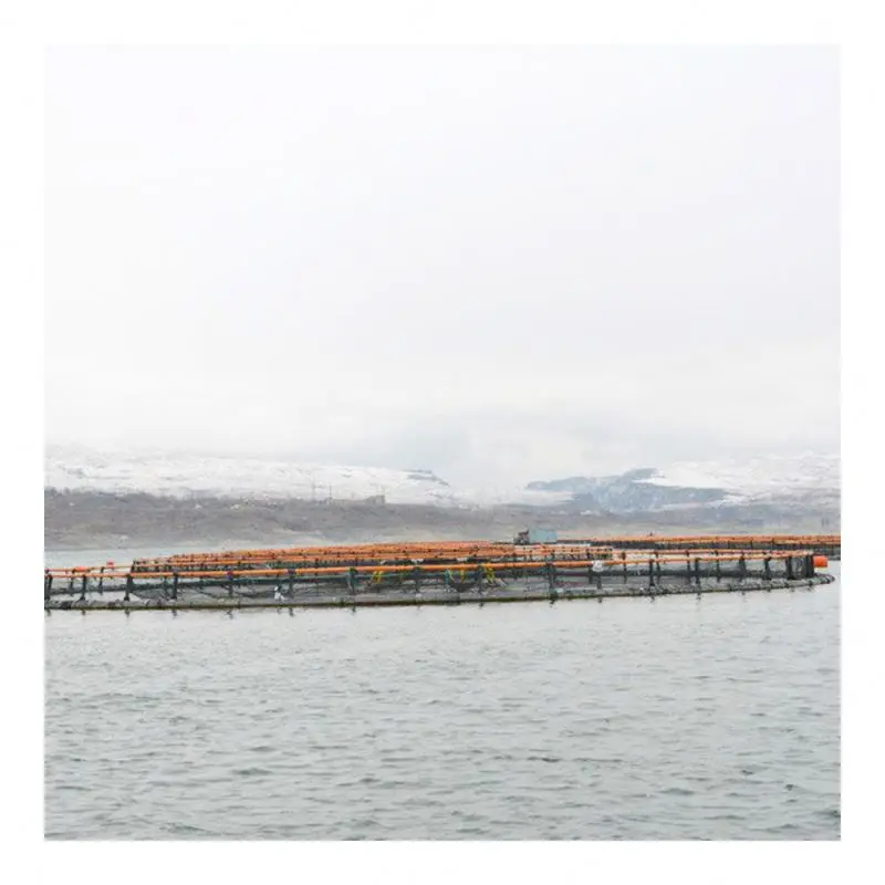 PE100 HDPE Pipes 180mm  For Deep Ocean Floating Fish Farming round Cage