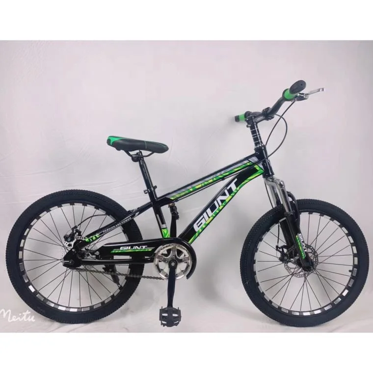 2024 New Model 20-Inch Single Speed Mountain Bike Steel Fork Disc Brake & Ordinary Pedal 20*2.4 Tire Mountain Bikes Bicycle