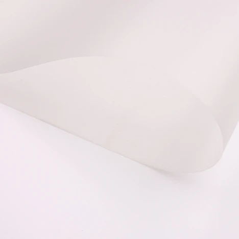 CAD Design Plotter Paper Roll Drawing Mylar Polyester Drafting Film
