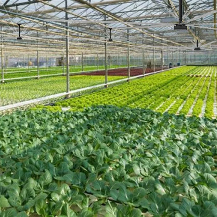 24ft 20ft 18ft 16ft 14ft 12ft 10ft hvls big ass fan for workshop