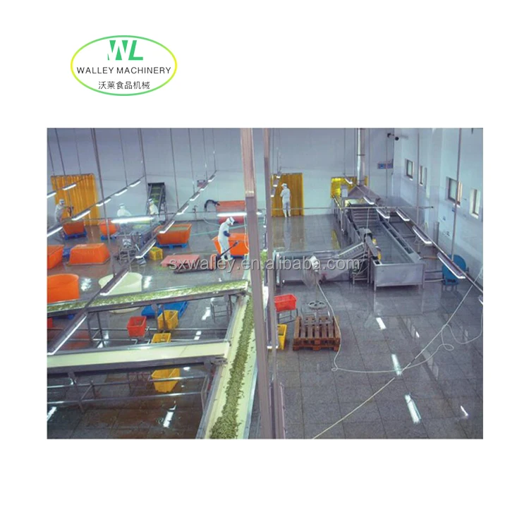 Hotsale Industrial Frozen Fruits and Vegetables Quick Freezing Line Okra Fast Freeze Equipment Rice Blast Freezing Machine