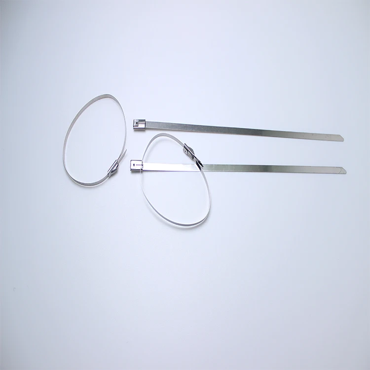 
Free Sample Full Size 304 316 Stainless Steel Cable Tie 