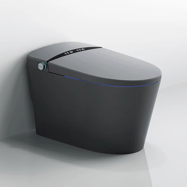 automatic water intelligent wc toilet bowl ceramic 120v smart toilet gray