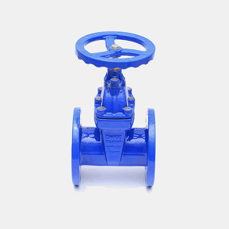Professional Manufacture Cast Iron BS 1414 Resilient Seated Flanged Gate Valve