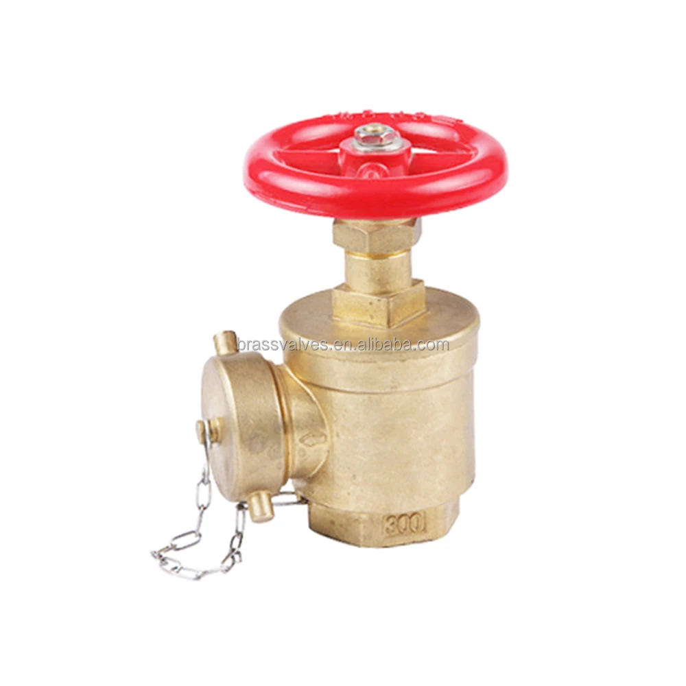 fire hydrant landing valve.jpg