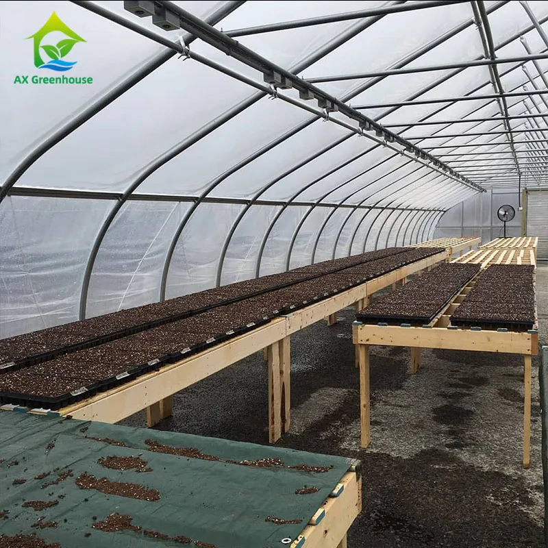 
Medical Plant Growing Fully Auto Blackout Shading Polycarbonate Greenhouse 