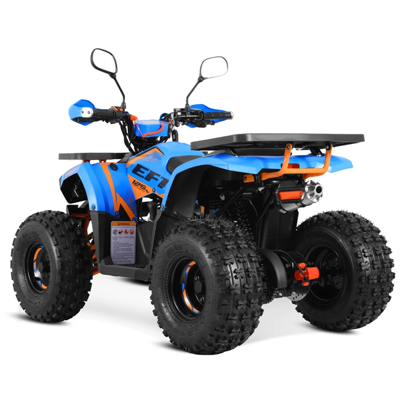 Tao Motor 2024 New EFI Electronic Fuel Injection ATV 125 Cheap Chinese Automatic with Reverse Chain Drive Farm ATV 125cc ATV