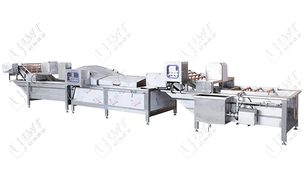 Automated Canned Mushroom Processing and Packaging Equipment Essential Food Processing Lines Machine