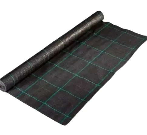 80gsm 90gsm 100gsm Weed Mat Agricultural Plastic Ground Cover Piece HDpp Shandong Hongguan