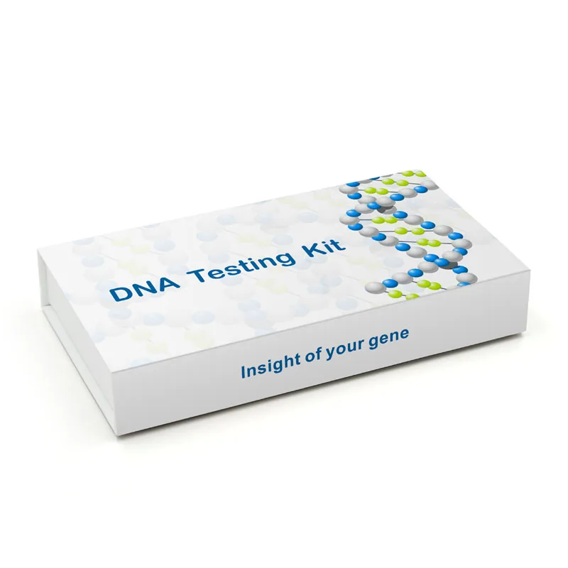 DNA Collection Kit Buccal Swab Home Collection Kit for DNA Test Sampling Swabs DNA Collector Kit
