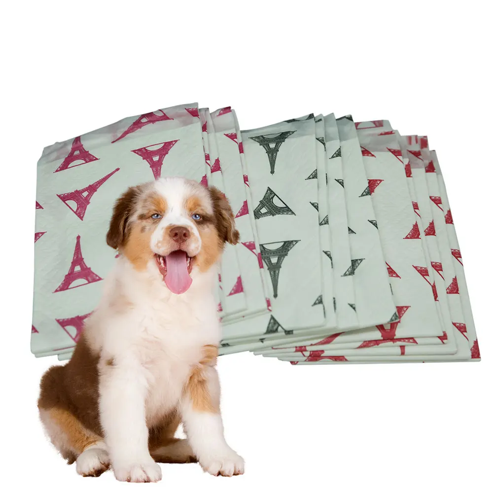 Size 60*90cm Fast Shipping Small Animal Pet Cleaning Cats Dogs Absorbent Pee Pads for Sale