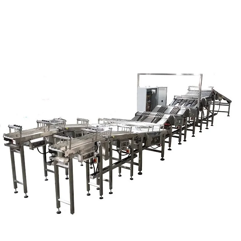 High Speed Stable Running Cookie Automatic Feeder Biscuit Conveyor Belt For Sale