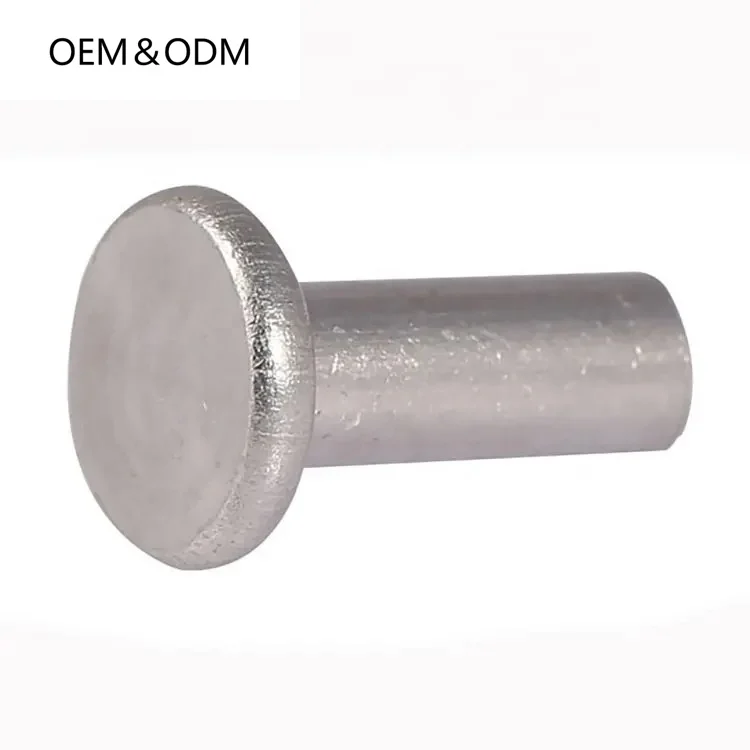 Professional Customization Non-Standard Stainless Steel 304 Solid Metal Rivets And Round Head Rivets