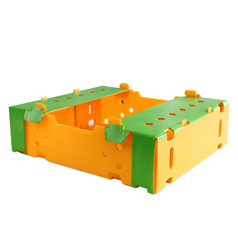 Factory direct price fresh vegetable and fruit plastic corrugated box