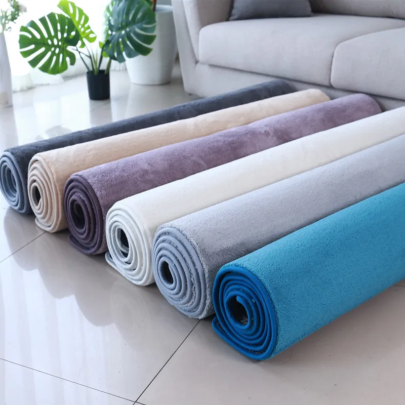 Solid Color Carpets and Rugs Living Room Nordic Cashmere Microfiber Rug Absorbent Fluffy Rugs