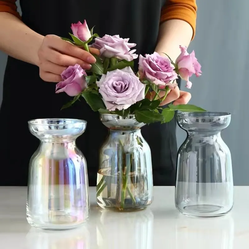Aurora Fantasy Gradient Simple Small Vase Glass Flower Arrangement Flower Maker Hydroponic Plant Glass Vase  Tabletop Glass Vase