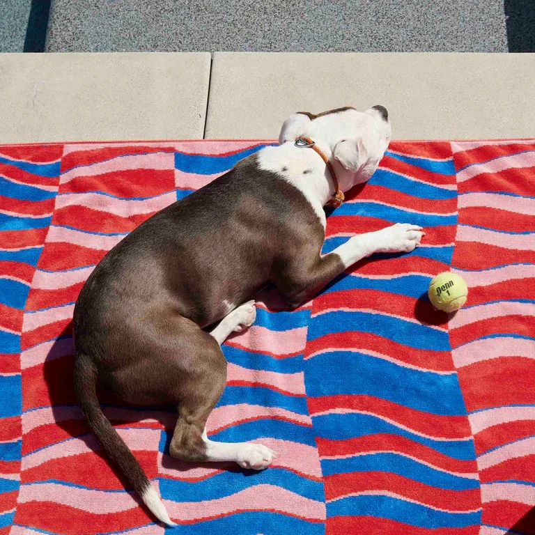 100% Organic Cotton Turkish Beach Towel - Sand Free, Perfect for Gifting, , Bath Spa Sauna Beach Towel Cotton Beach Towels