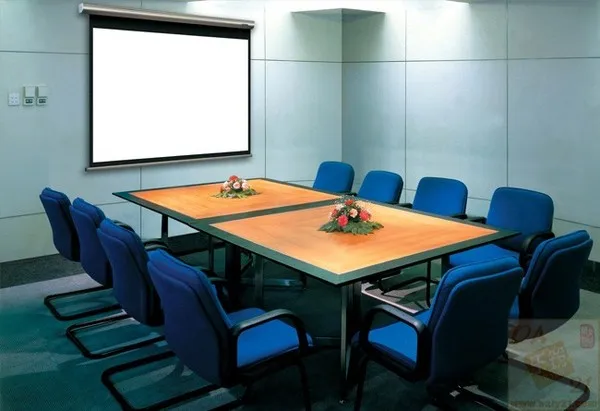 eco-friendly semi-transparrent Projection Film