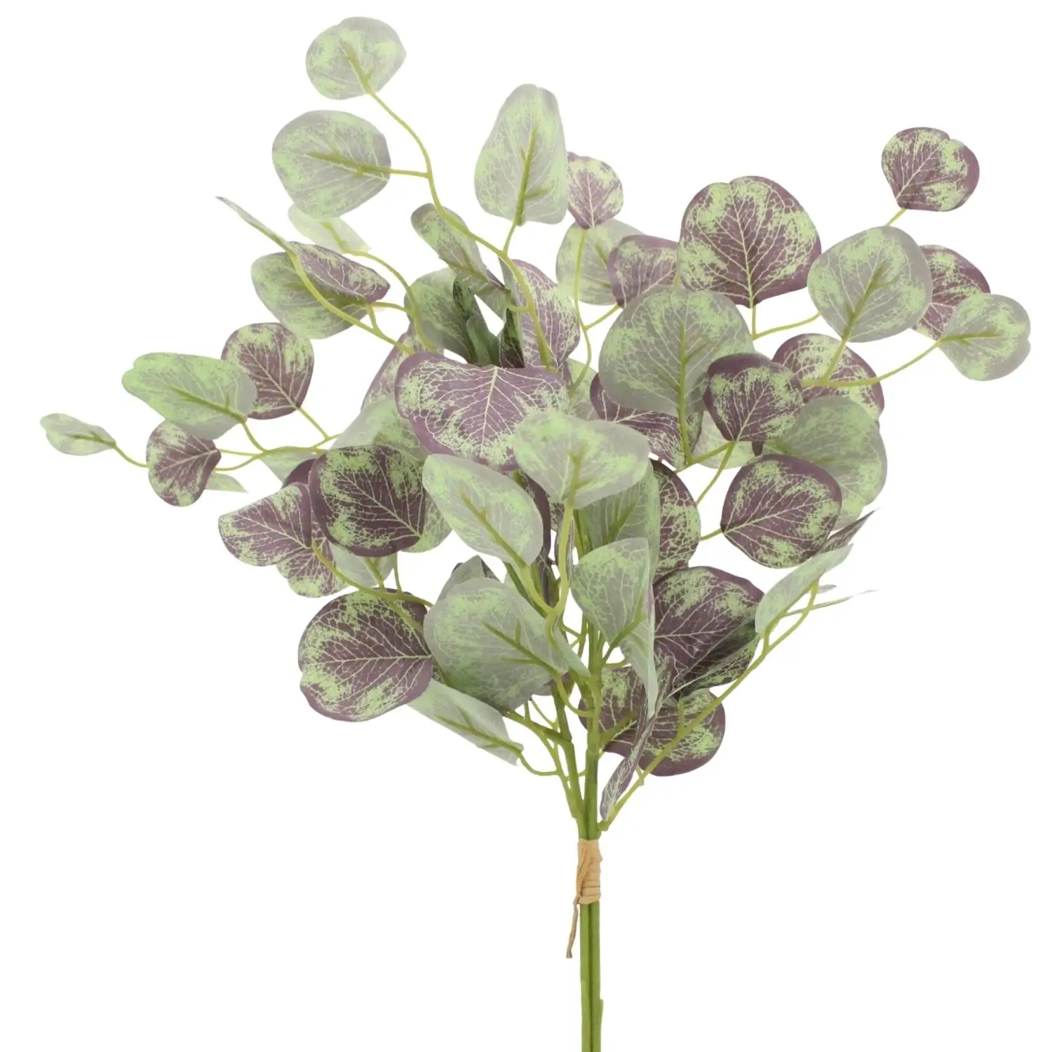 Wholesale Home Decor Leaf Artificial Plant Artificial Silver Dollar Eucalyptus Branches Artificial Eucalyptus Leaves