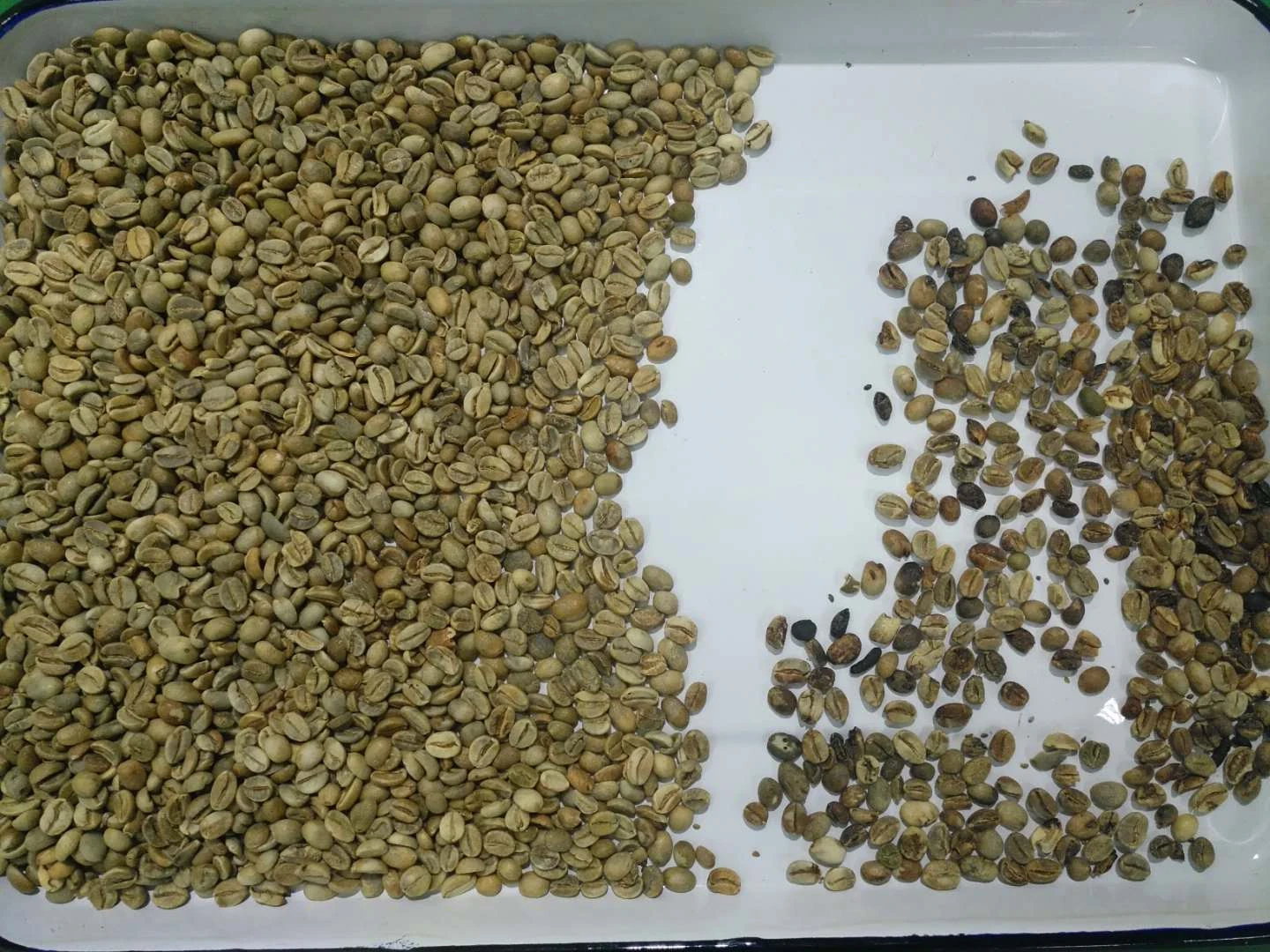 Wenyao Rice Peanuts Bean Plastic Grotech Macadamia Seed Taiho Color Sorter Machine Meyer