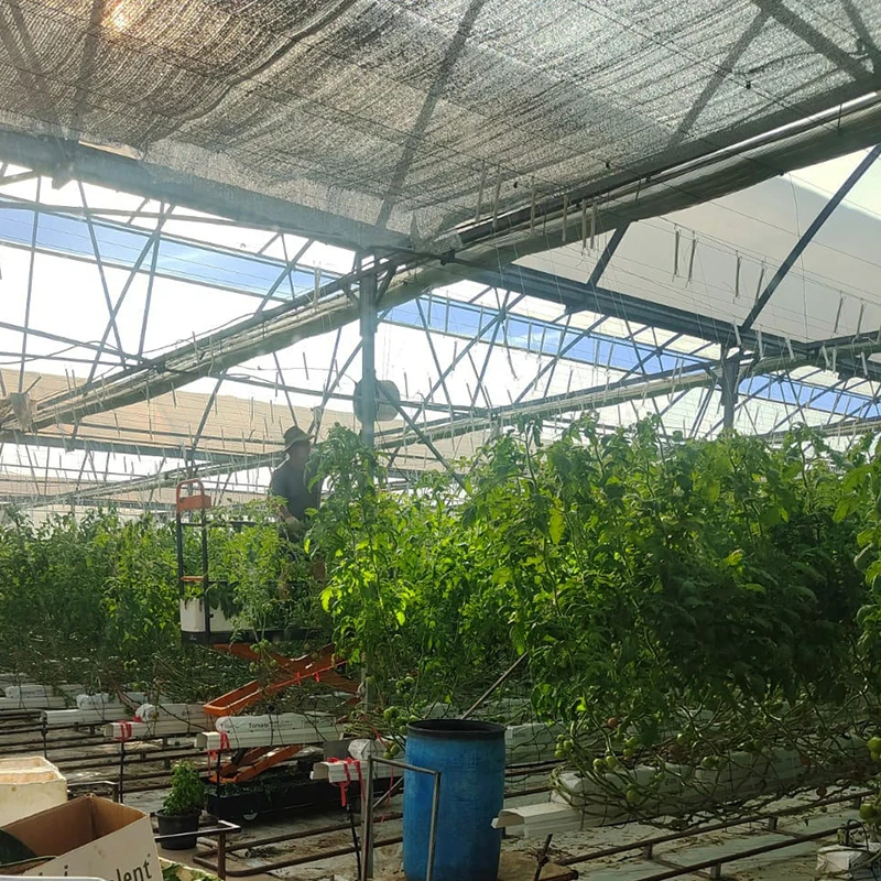 Best Selling Economical Multi-Span Greenhouse with greenhouse heating systems for winter