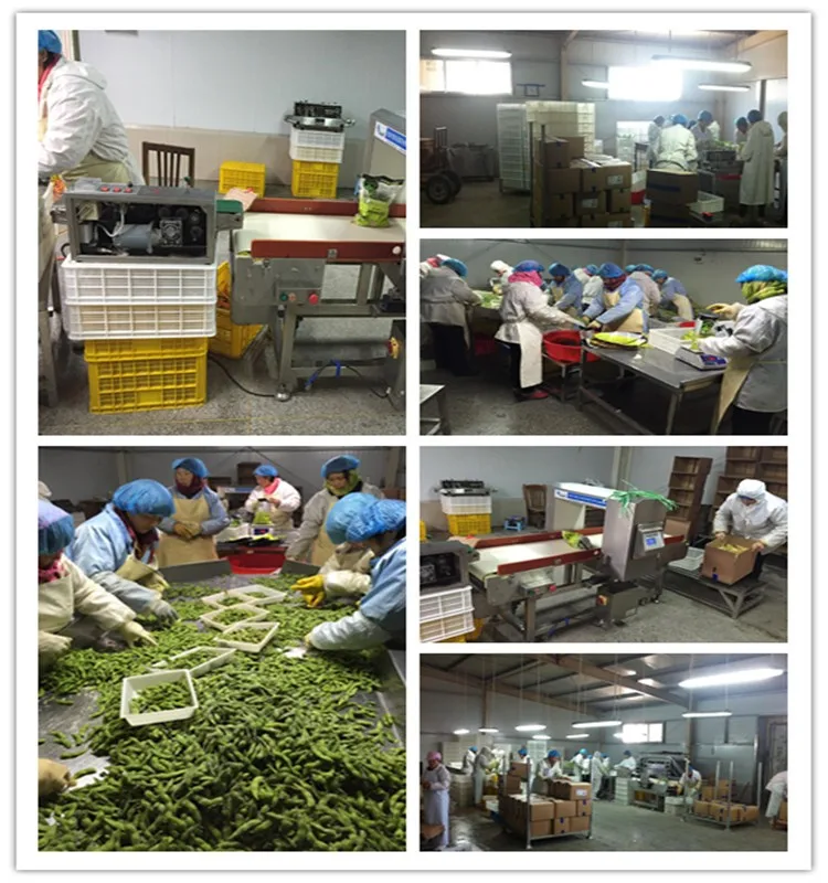 New product launch frozen fresh edamame pods/Soya beans