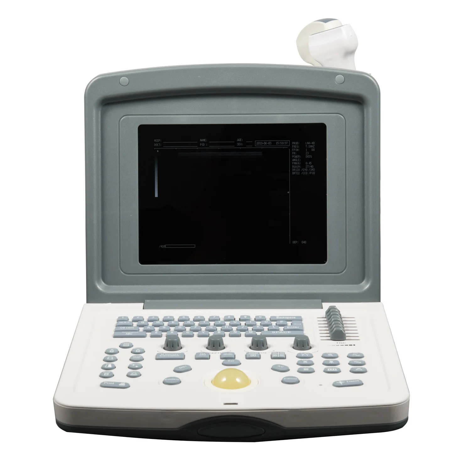 (MS-P800) цифровой портативный черный и белый ультразвуковой сканер