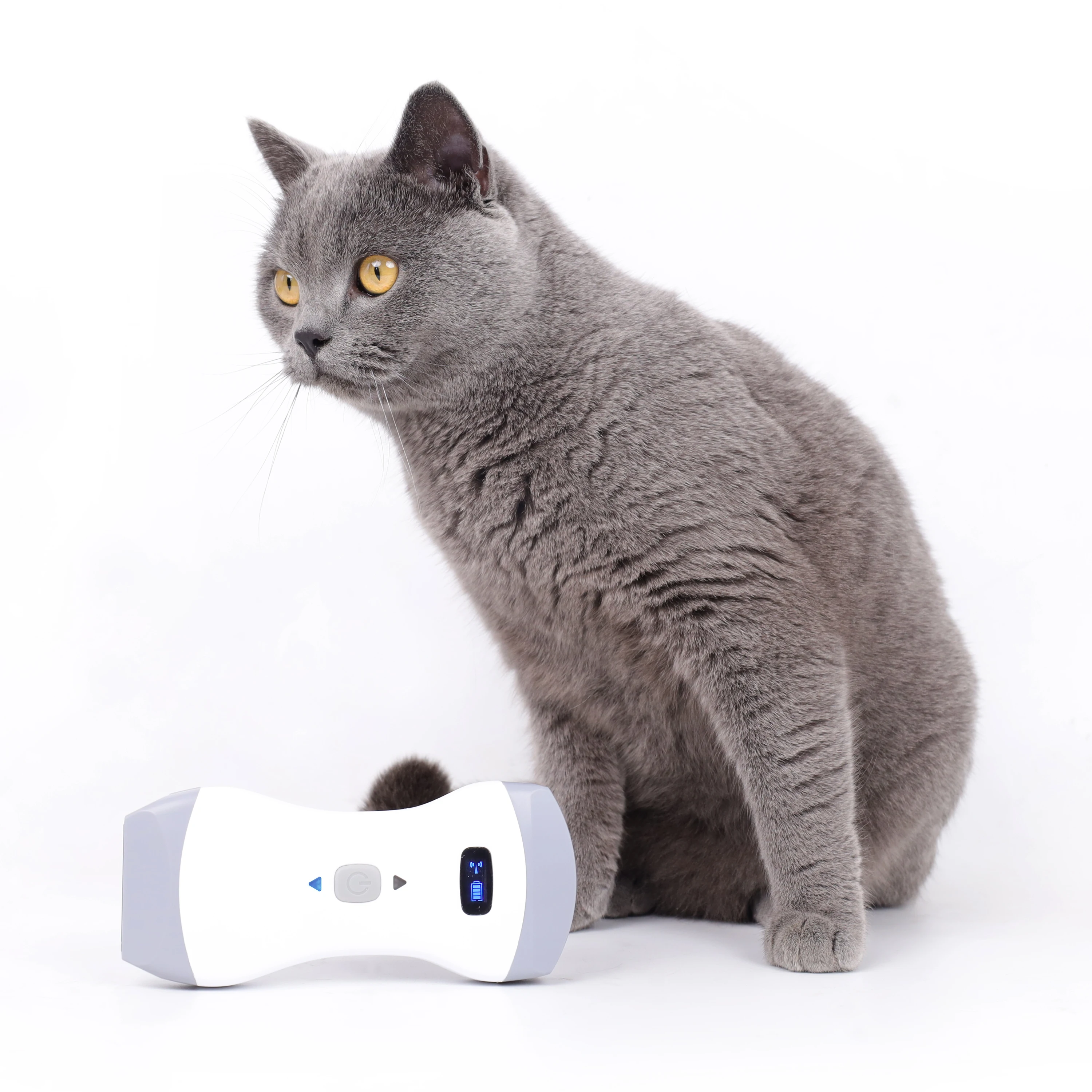 CONTEC CMS1600B-VET handheld veterinary ultrasound pregnancy detector instruments for pregnancy test