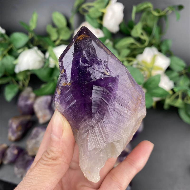 Wholesale Natural Crystal Healing Stone Raw Amethyst Tooth Rough Amethyst Crystal Stone For Meditation