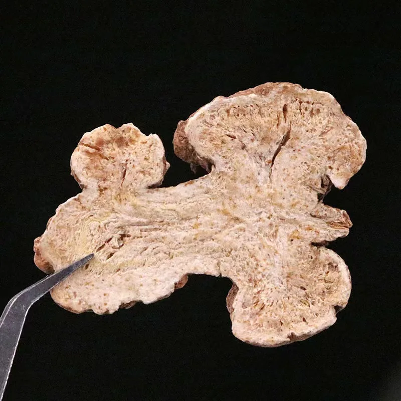 Factory Supply Raw Herb Selected Rhizoma Atractylodis Macrocephalae Bai Zhu