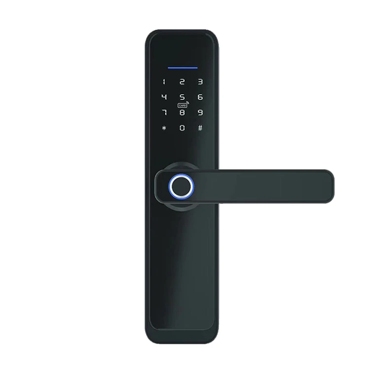 Eseye алюминиевая дверь руководство умный Wi-Fi биометрическая ручка для отпечатков пальцев цифровое приложение Life замок Tuya